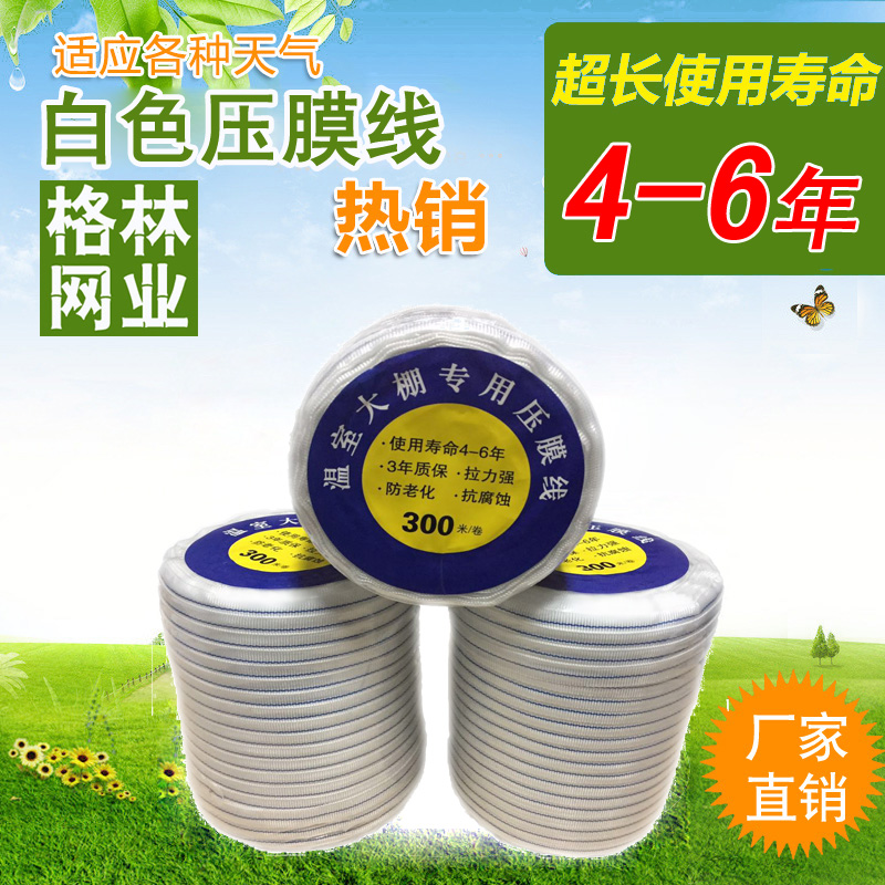 Hot pin Green white greenhouse Greenhouse Pressure Film Line 300 m Shading Nets Press Membrane Rope Polyester Fiber Gardening Flowers