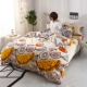 Bộ đồ giường Falais bốn bộ lông cừu san hô ấm ba mảnh mùa thu và mùa đông dày flannel quilt tấm trải mua chăn ga gối đệm