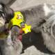 Glowing Star Dog Walking Light, Dog Night Walking Light, Anti-Lost Pet Pendant, Collar, Clothing Accessories, Chest and Back Decoration