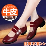 恰恰鱼 Современная кожаная дышащая танцующая обувь, мягкая подошва