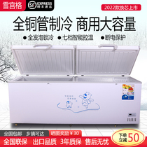 Freezer Commercial Large Capacity Energy Saving Freezer Refrigerated Freezer Horizontal Large Fridge Single Twin Warm Refreshing Straight Freezer