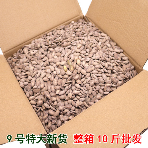 This year New stock melon seeds 9 Number of large seeds 500g Bulk 5 catty Cream Raw Taste Nut Snacks Whole Box 10 Catty Batch