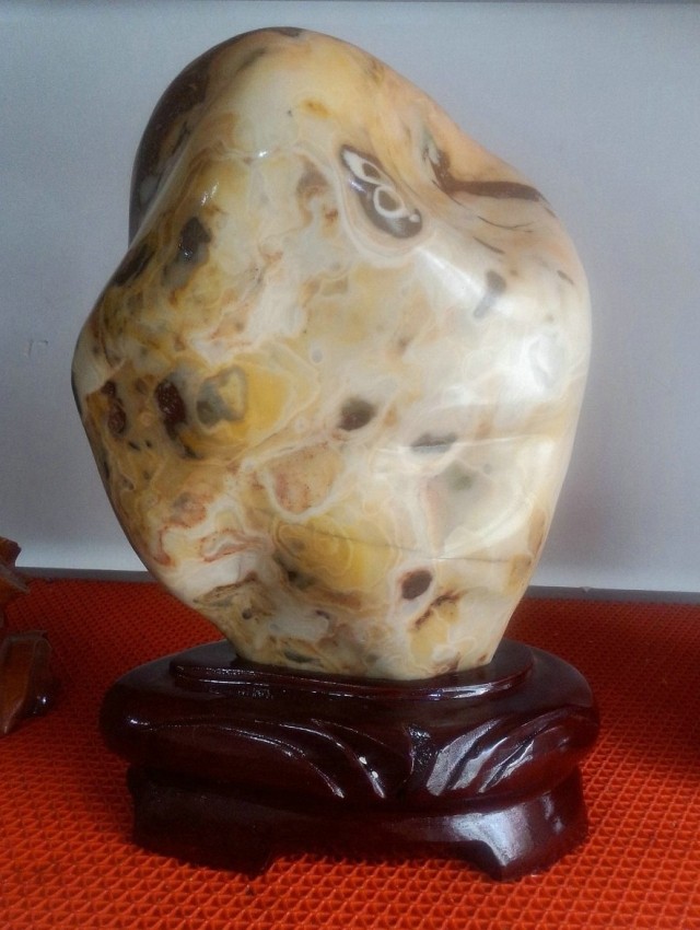 Ning Qiang Coral Jade Color Roll Tattoo Fossil Polished Stylized Sightseeing Stone Chite Swing Piece Yellow White Yellow White Boutique W