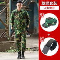 Высококачественный комплект, шапка, ремень