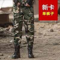 Новая карта брюки с маскировкой