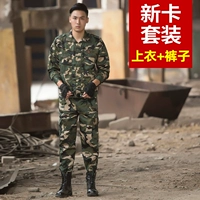 Набор новых карт с высоким качеством [топ+брюки] 55 Юань