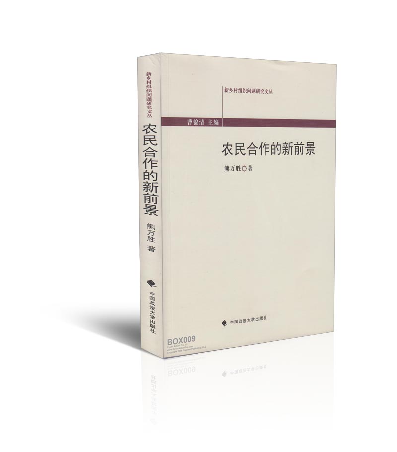 农民合作的新前景/新乡村组织问题研究文丛