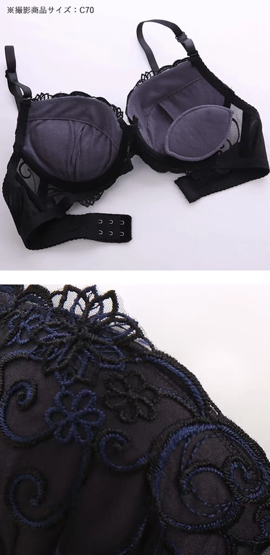 Shi Luohan Duo Bra and Panty Set BCD Size ECLAT3 / 4 Cup Thêu tinh xảo Ngực thanh lịch - Bộ đồ lót