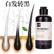 Polygonum multiflorum white hair black hair shampoo root pure plant herbs black hair liquid artifact white hair