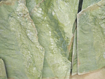 Natural jade stone plate Dandong green hair plate green jade plate sauna sweat steam room wall ground decoration jade plate