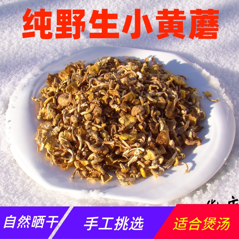 Northeast wild small yellow mushroom dry goods specialty Daxing'anling wild mushroom various dried mushrooms Daquan small mushroom