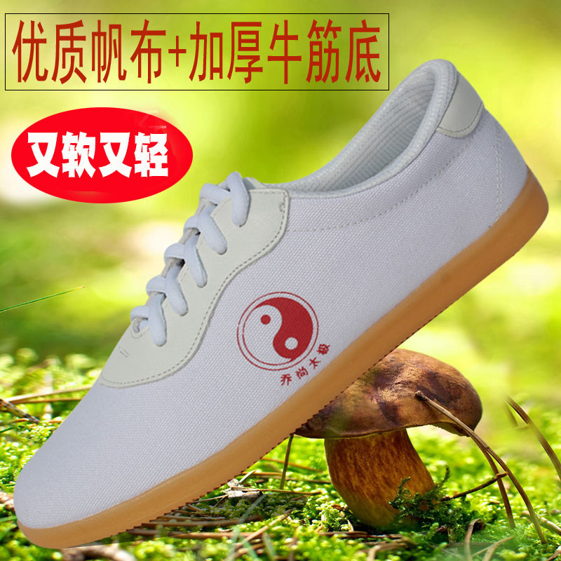 Joshan Tai Chi Shoes Canvas Martial Arts Shoes Training Kung Fu Shoes Men and women Thickened Bull Gluten Bottoms Soft And Breathable Comfort