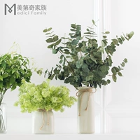 Светло порошковое зеленое растение набор Feart-Me-not Money Leaf Flower Art Simulation Цветочный украшение фальшивое цветок