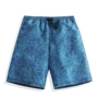 Speed ​​Wave Beach Quần Đàn ông Nhanh khô Loose Sanya Seaside Spa Kỳ nghỉ Quần bơi Blue Five Quần short In thực vật 	quần 7 màu đi biển