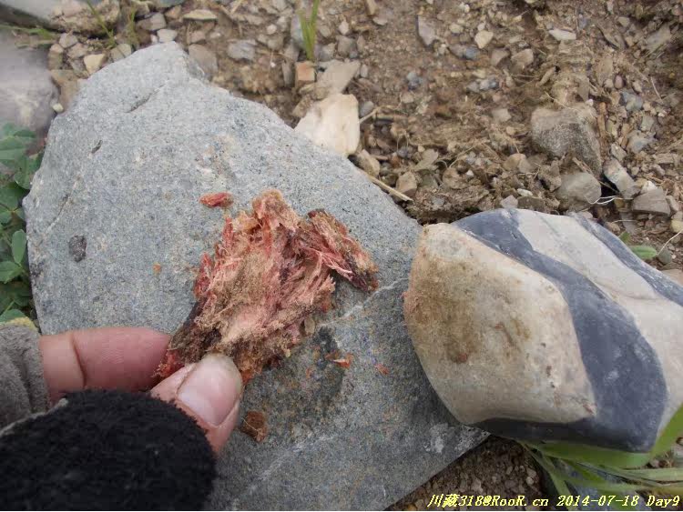 Gants pour vélo - Ref 2247996 Image 223