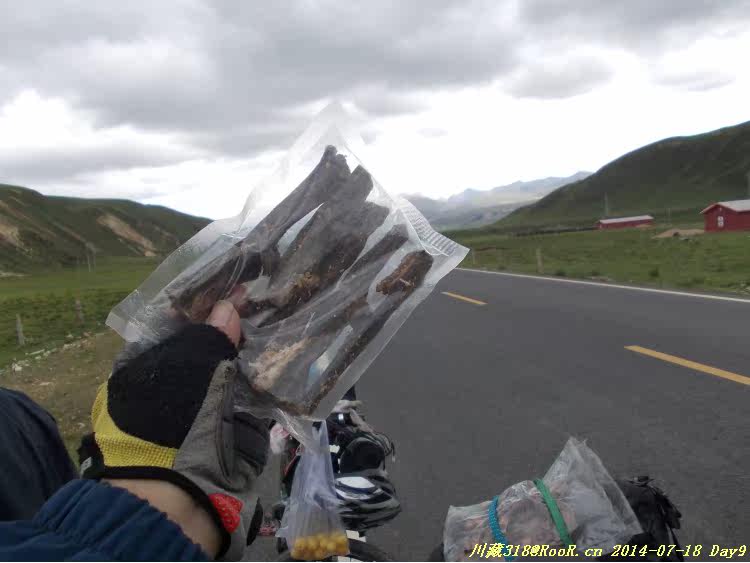 Gants pour vélo - Ref 2247996 Image 220