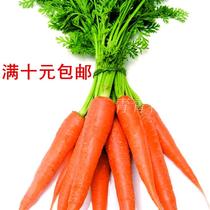 Farmhouse organic carrot seed vegetable seed vegetable garden carrot seed resistant to heat and drought can be wintering