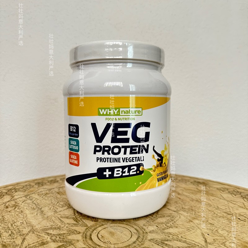 Italian Why Nature Vegetarian Protein Powder Vanilla Flavor 450g Added Vitamin B12 Gluten-Free and Lactose-Free