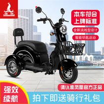 Phoenix Electric Tricycle Home New Small Pick Up Kids Electric Bottle Car Scooter Scooter Casual Car