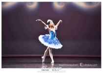 Childrens ballet dance practice clothes suspenders dance skirt girls ballet dress Test clothes gymnastics suit shape clothes autumn