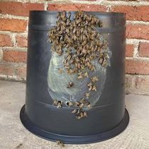 (5 Packs) Portable Bee Lure Bucket Black Plastic Bucket for Bee Collection 16 Liters 19 Liters 25 Liters 30 Liters