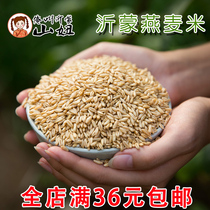 Shan Niu new oatmeal rice farm-grown oatmeal oat kernel Wild wheat grain Bird wheat Full 500g