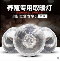  Insulation lamp Chicken breeding chicken pig breeding farm special heating bulb thickened explosion-proof waterproof energy-saving