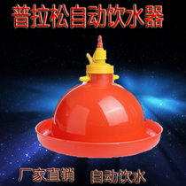  Chicken drinking fountain thickened and raised Plasson automatic duck and goose feeder Chicken equipment Drinking pot breeding