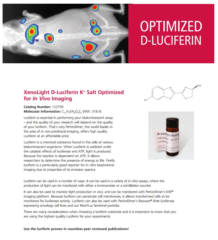 122799  XenoLight D-Luciferin 荧光素钾盐  122799