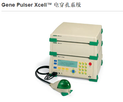 伯乐Gene Pulser Xcell 真核电穿孔系统（货号 165-2661）