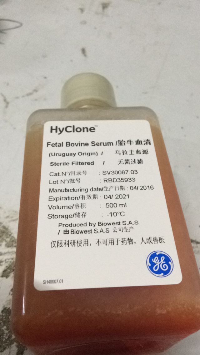 hyclone 品牌南美乌拉圭胎牛血清FBS SV30087.03  500ML