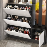 Вход в шкаф для шкафа шкафа крыльца интегрированное входное зале Веса