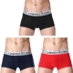 Quần lót nam boxer cotton nguyên chất cotton modal - Cặp đôi