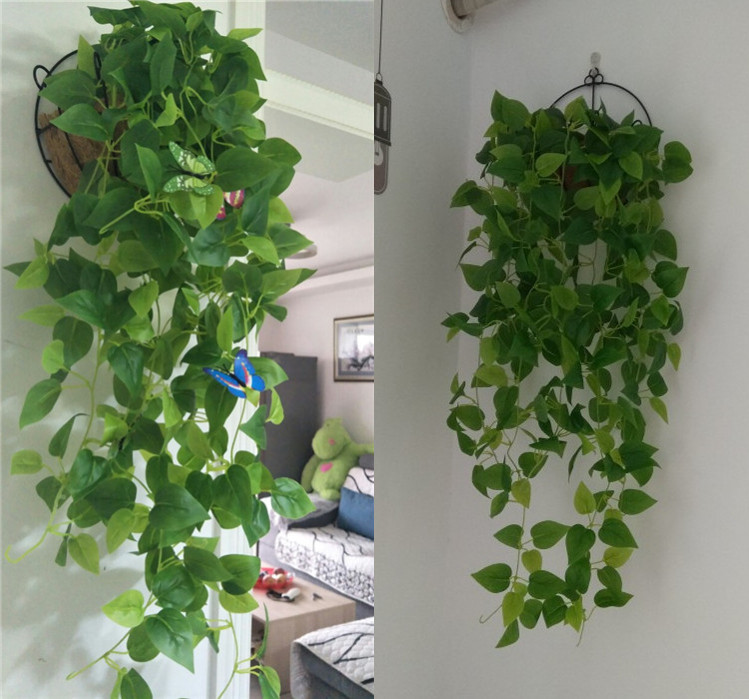 Cây mô phỏng giỏ hoa giả mây nhựa lá xanh lá cây củ cải xanh treo hoa lan trong nhà trang trí tường nho - Hoa nhân tạo / Cây / Trái cây Ý tưởng từ khóa