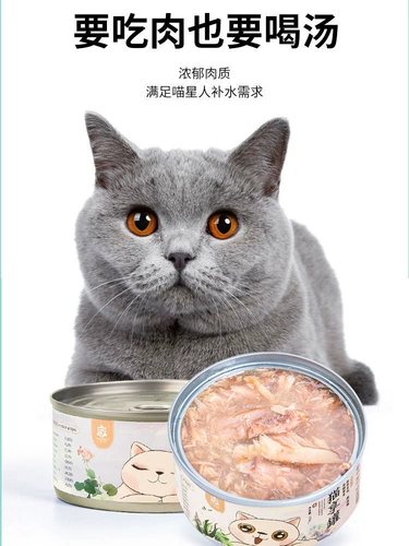 Jiang Lu Pet Zhuo Siang Cat Consed Kitten