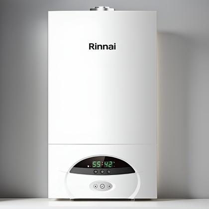 Rinnai 28C30 Gas Wall-Mounted Boiler for Home Heating, Gas Water Heater, Constant Temperature Floor Heating Boiler Rinnai 28C30 Gas Wall-Mounted Boiler for Home Heating, Gas Water Heater, Constant Temperature Floor Heating Boiler