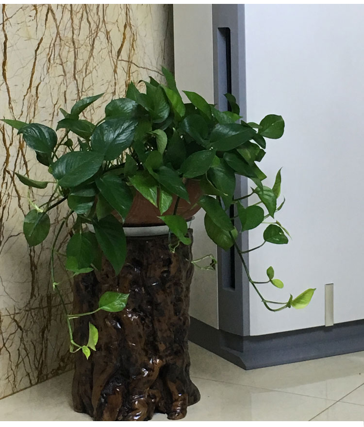 Táo tàu, rễ, rễ, khúc gỗ, cọc gỗ, gốc cây, giá đỡ hoa, ghế gỗ - Các món ăn khao khát gốc bàn ghế làm từ gốc cây