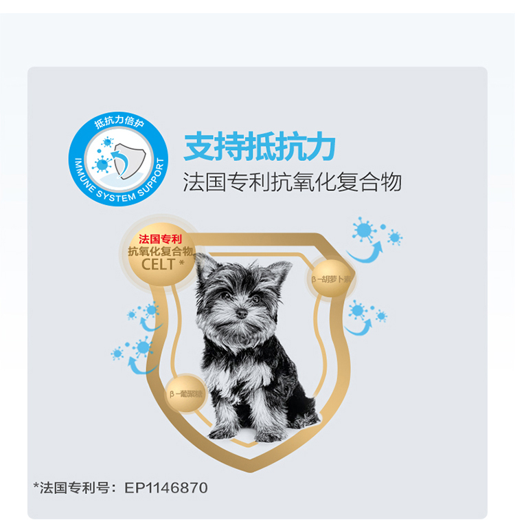 Royal Small Dog Puppy Food General Dog Food MIJ31 0.8kg Pomeranian Daffodil Salami Dog Bán - Chó Staples thức ăn cho chó mang thai