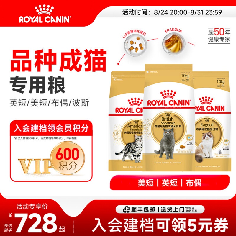 Royal Cat Food British Shorthair/American Shorthair/Ragdoll/Persian Large Pack 10kg Blue Cat Golden Gradient Blue and White Complete Main Food Royal Cat Food British Shorthair/American Shorthair/Ragdoll/Persian Large Pack 10kg Blue Cat Golden Gradient Blue and White Complete Main Food