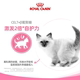 Royal Cat Food Imported Canned Cat Weaning Kitten Mousse Cat Milk Cake Can 195g Nutritional Staple Food Grade Cat Wet Food