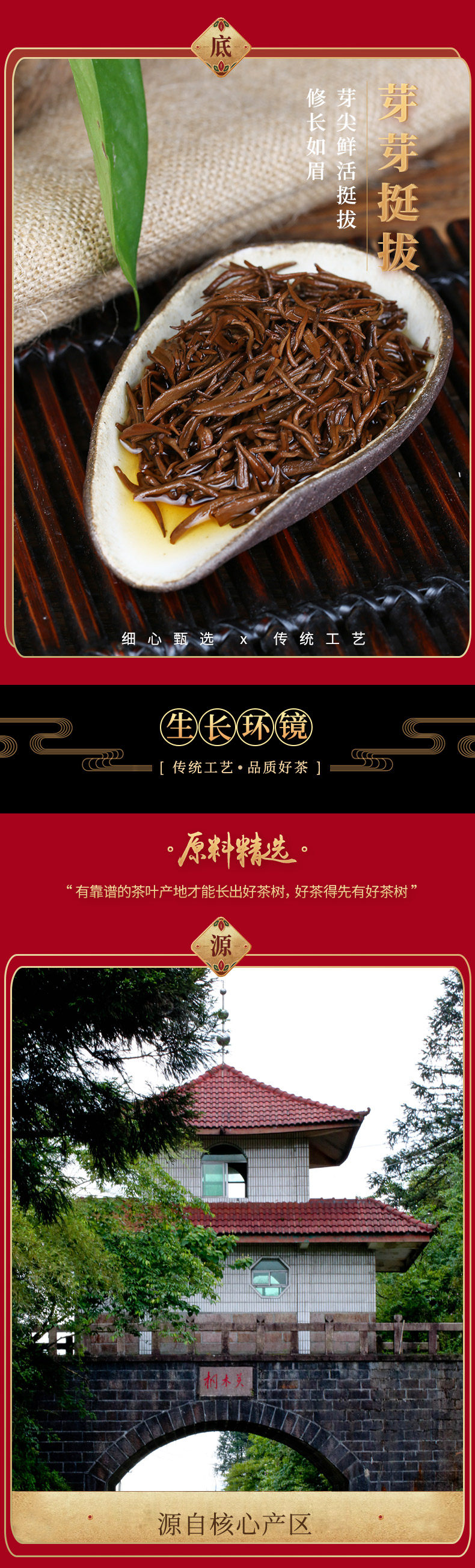 [金骏眉新详情_05.jpg]