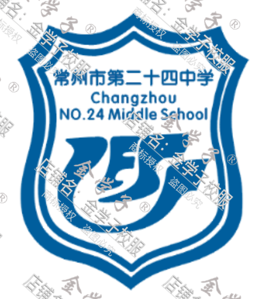 Golden Student (General) Changzhou 24th Middle Summer and Fall School Uniform (Shop Remarks School)