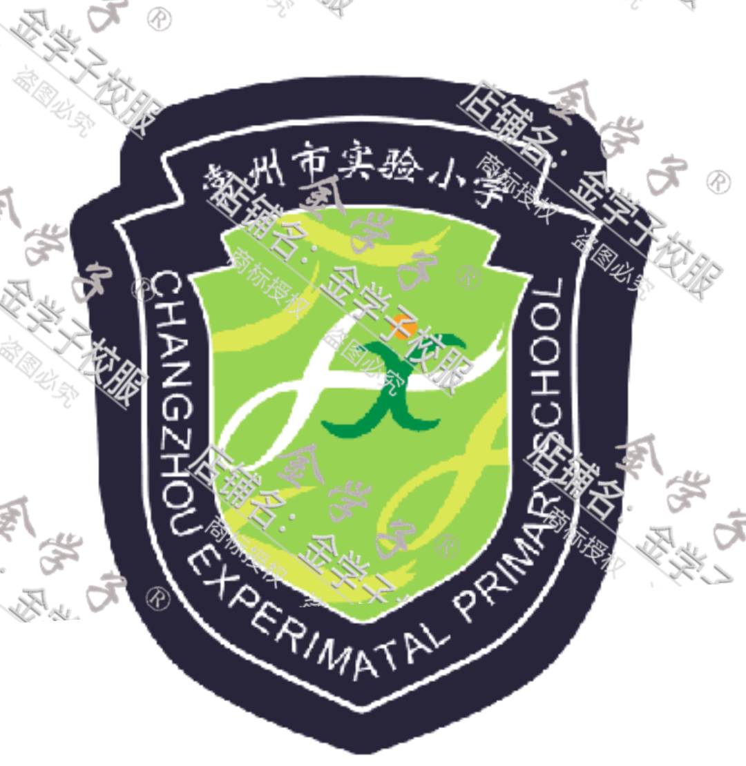 Jin Xuezi Changzhou Experimental Primary School Summer Autumn School Uniform