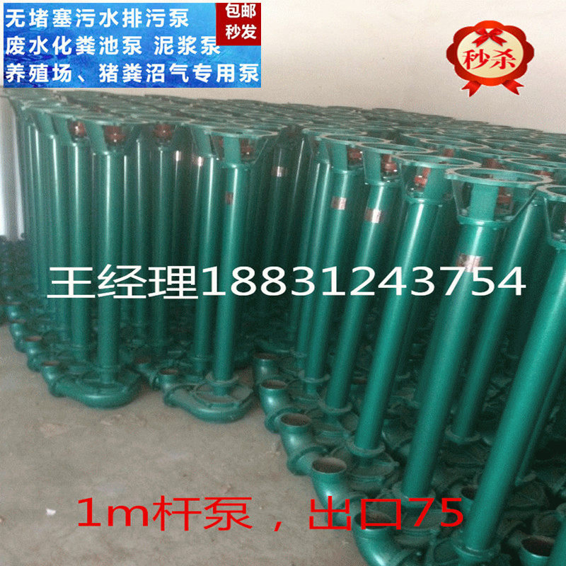 Upright Rod Stains 75NWL Vertical Stains Pump Rod Pump 3 Inch Liquid Lower Sewerage Pump Clear Water Pump Flow 60m3 h Yangcheng 9m