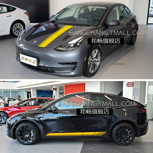 Подходит для наклеек автомобилей Tesla Model Y, чтобы вытащить цветов
