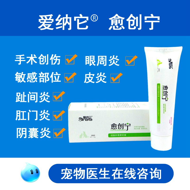 Pet dog cat with surgical Trauvitis Dog anus red and swollen pussy Pussy Cat Neutering of Septic Cat Neuter