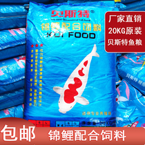 Bestfish Grain Love Scale Increased color and brightly colored carp goldfish ornamental fish feed fish food fishing ground 20kg fish erbium