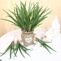 Cymbidium leaf simulation leaves Phalaenopsis leaf false leaf green leaf flower arrangement with leaf orchid flower grass long branch with root beard over glue