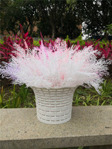 Wedding modeling rime grass wedding landscape simulation fog flower Christmas tree decoration 5 fork rime fake flower accessories