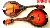 Mandolin Physical Musical Instrument Store Mandolin Mandolin Guitar Flowered Mandolin